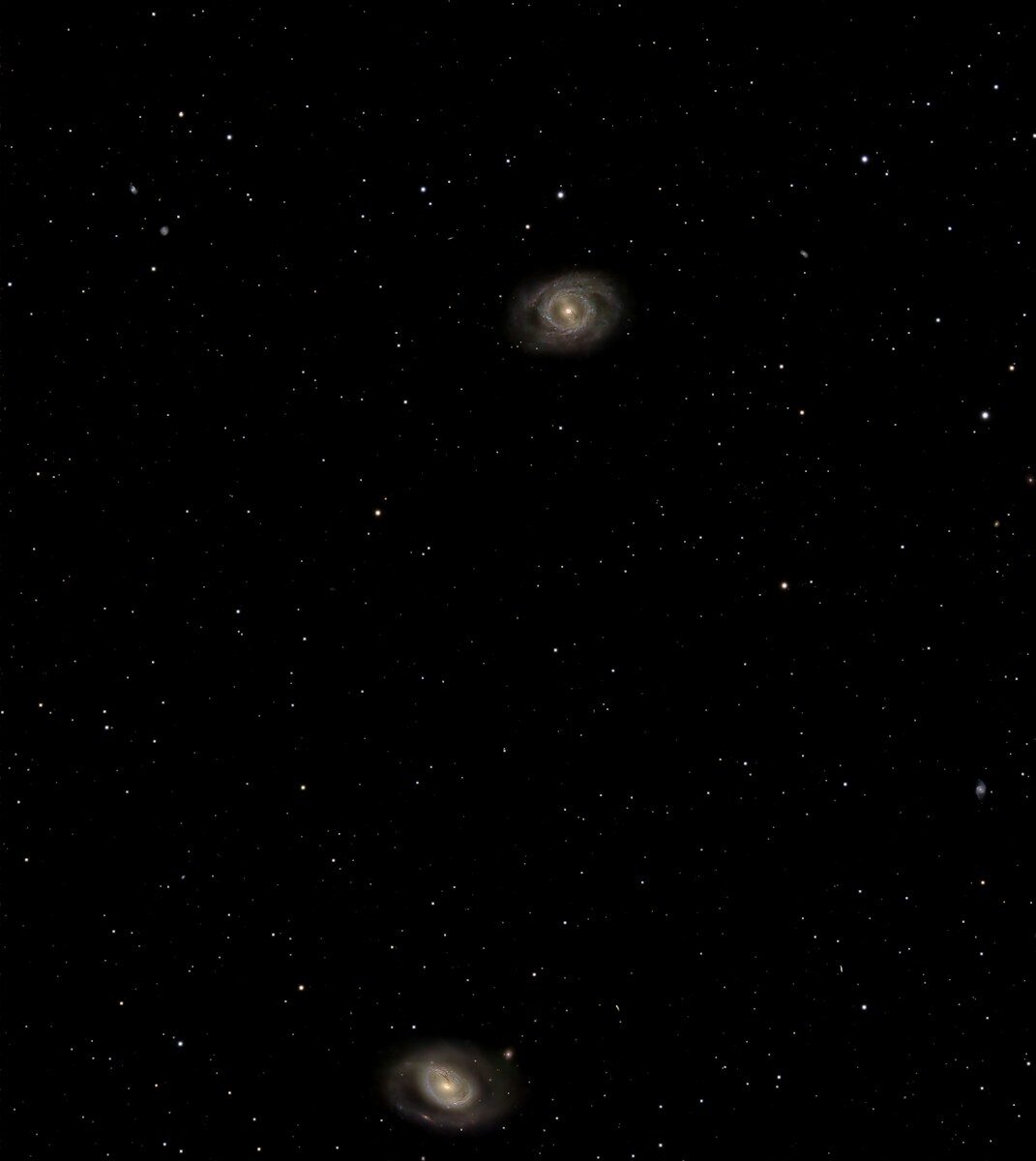 Vessel Crew Regulations