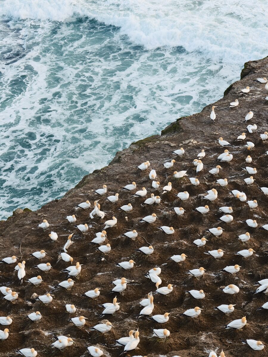 Maritime Insurance Claims Process